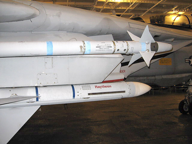 F-14A_10.jpg - Top, AIM-9M Sidewinder missle. Bottom, AIM-7M Sparrow.